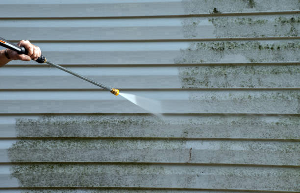 Best Affordable Pressure Washing  in Kenbridge, VA