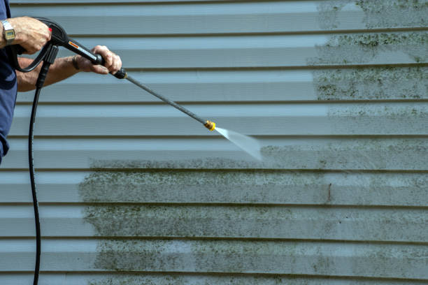 Best Affordable Power Washing  in Kenbridge, VA