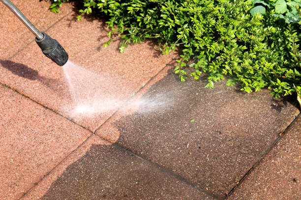 Best Pressure Washing Near Me  in Kenbridge, VA